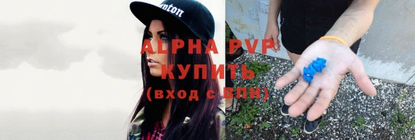 стафф Зеленокумск