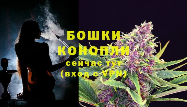 стафф Зеленокумск