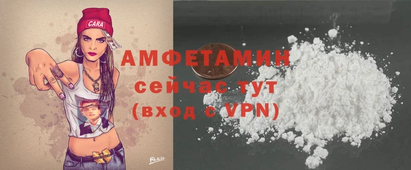 apvp Инсар