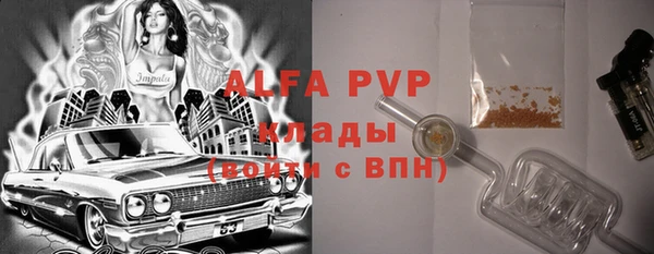 стафф Зеленокумск